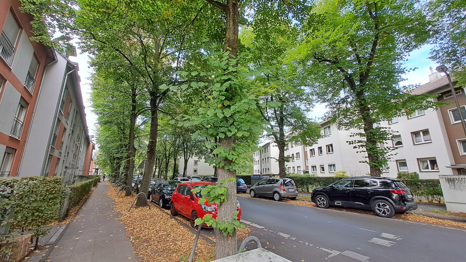 Vingst Cologne
